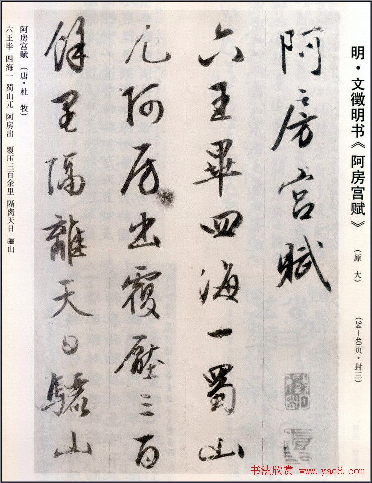 阿房宮賦 文徴明 巻菱湖 江戸期 書道 検)拓本楷書臨書唐本行書草