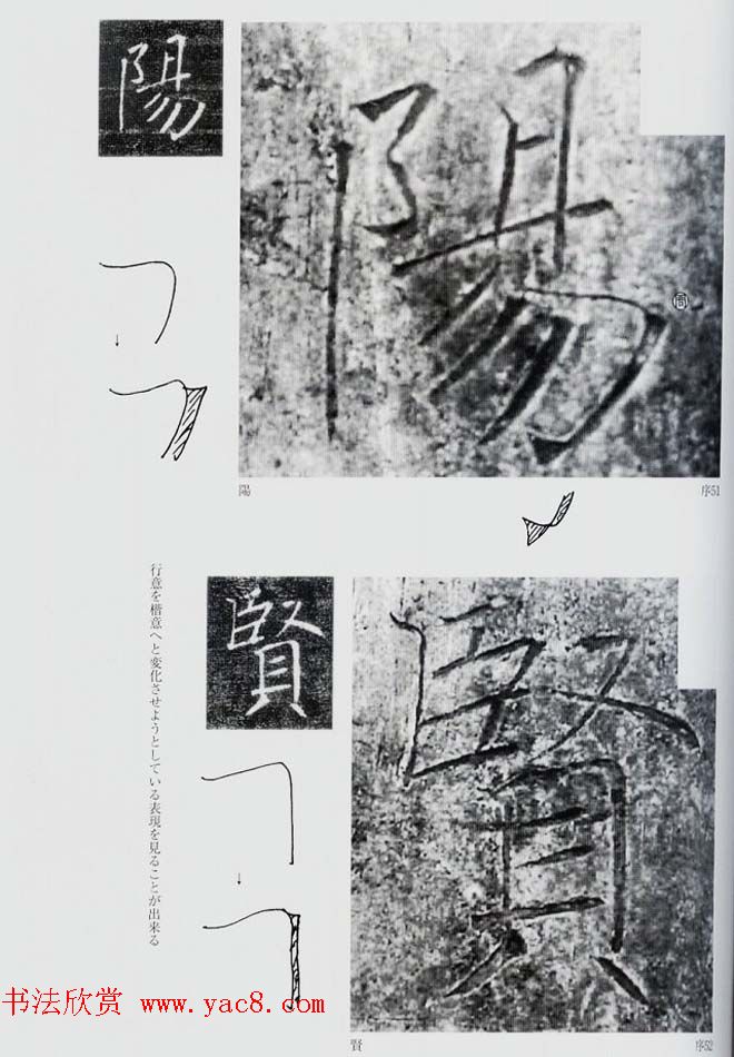 荒金大琳编著《褚遂良雁塔圣教序扩大观察记录》