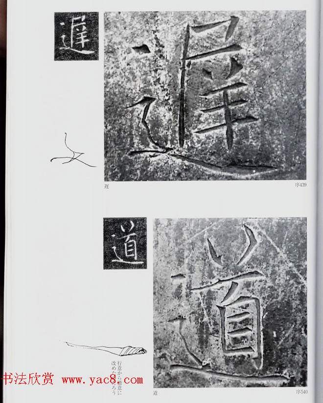 荒金大琳编著《褚遂良雁塔圣教序扩大观察记录》