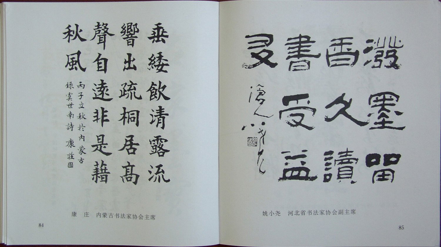 《中国书法名家题签墨宝》