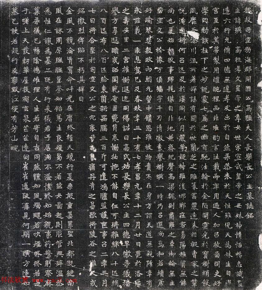 魏碑体书法刻石《高猛妻元瑛墓志》-书法品品
