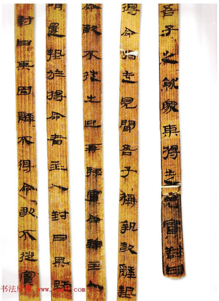 简牍书法《甘肃武威汉简》