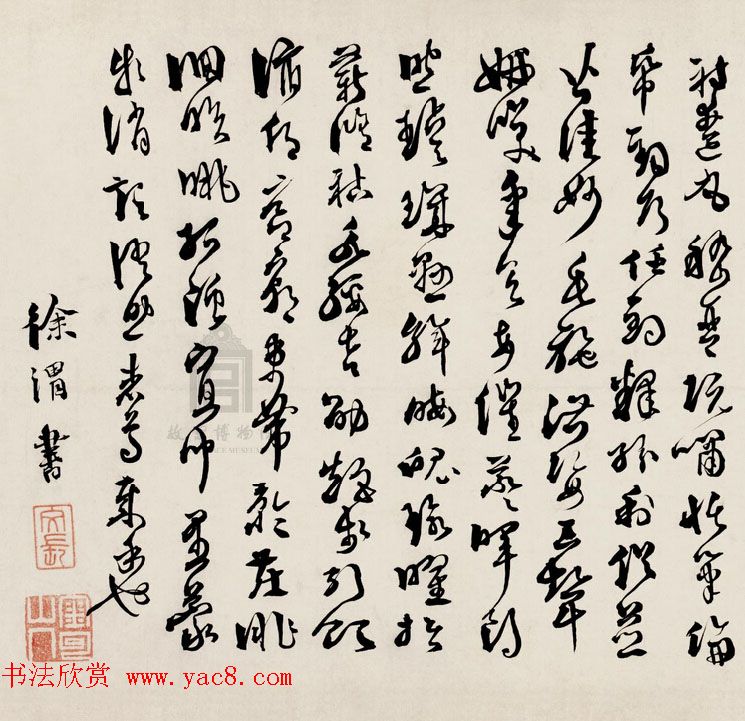 明代徐文长书法赏析《草书千字文卷》
