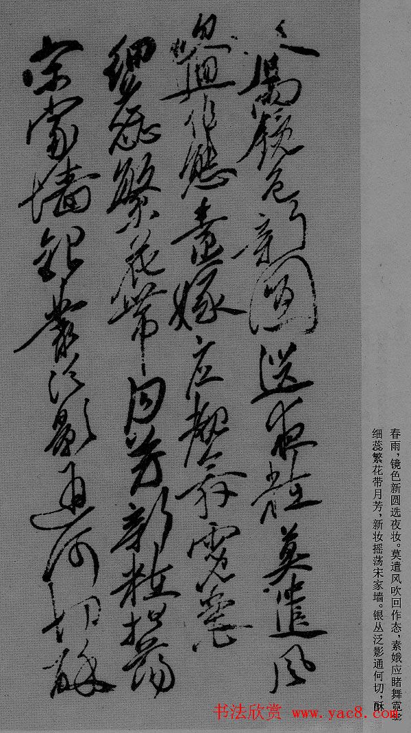 徐渭草书作品《月下梨花》