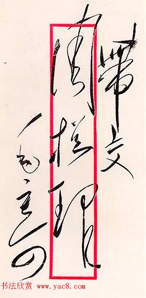 毛泽东手书信封字迹欣赏